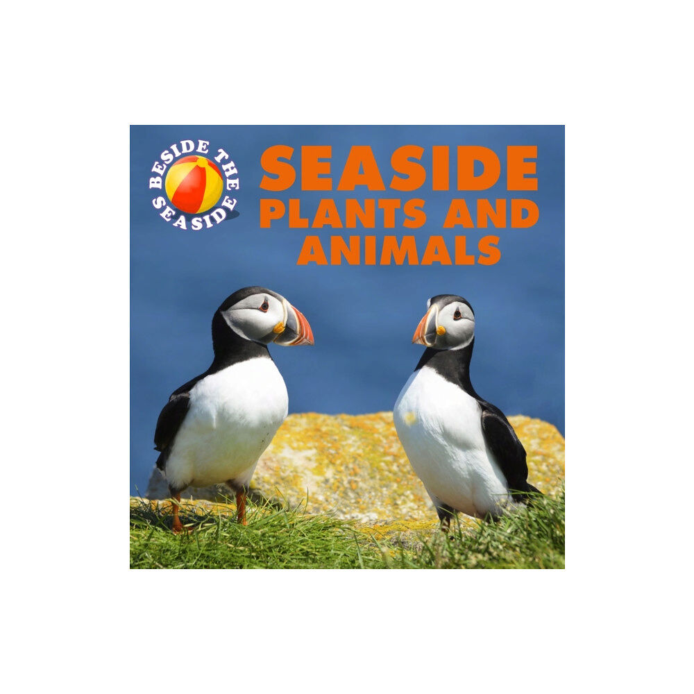 Hachette Children's Group Beside the Seaside: Seaside Plants and Animals (häftad, eng)