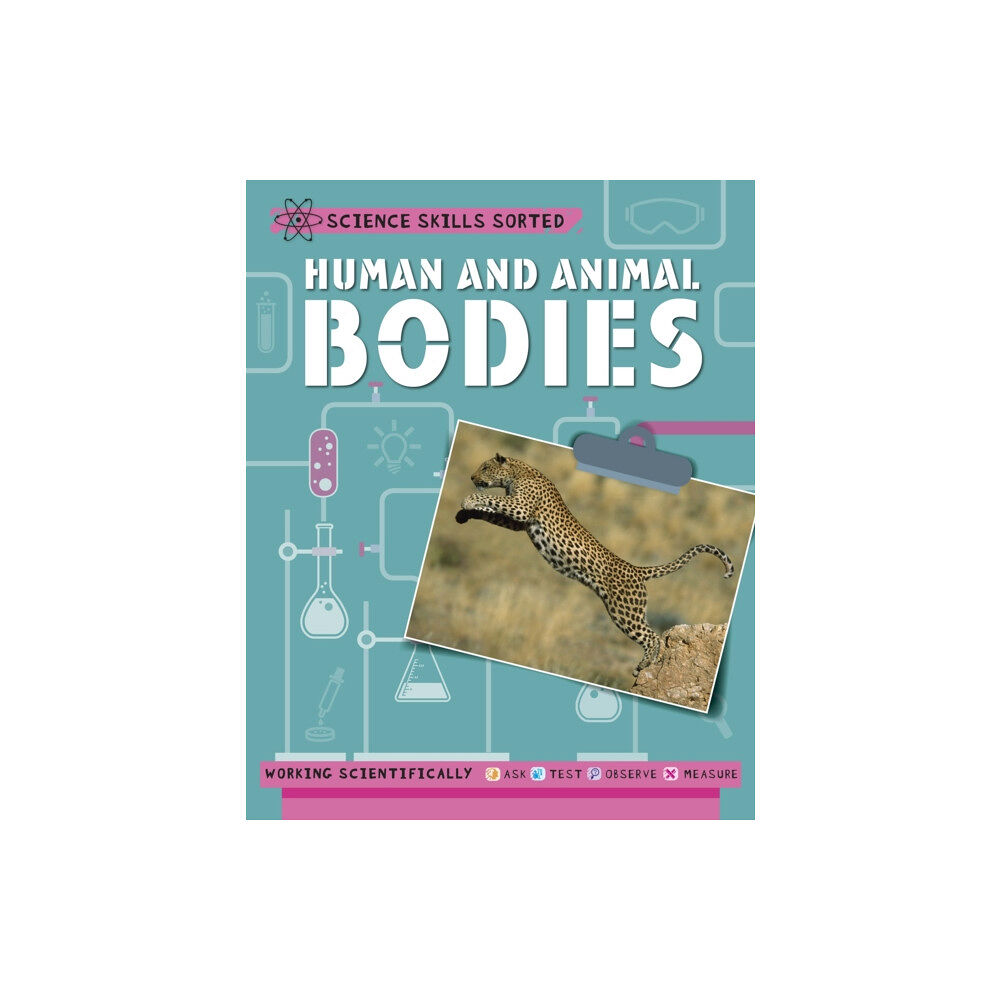 Hachette Children's Group Science Skills Sorted!: Human and Animal Bodies (inbunden, eng)