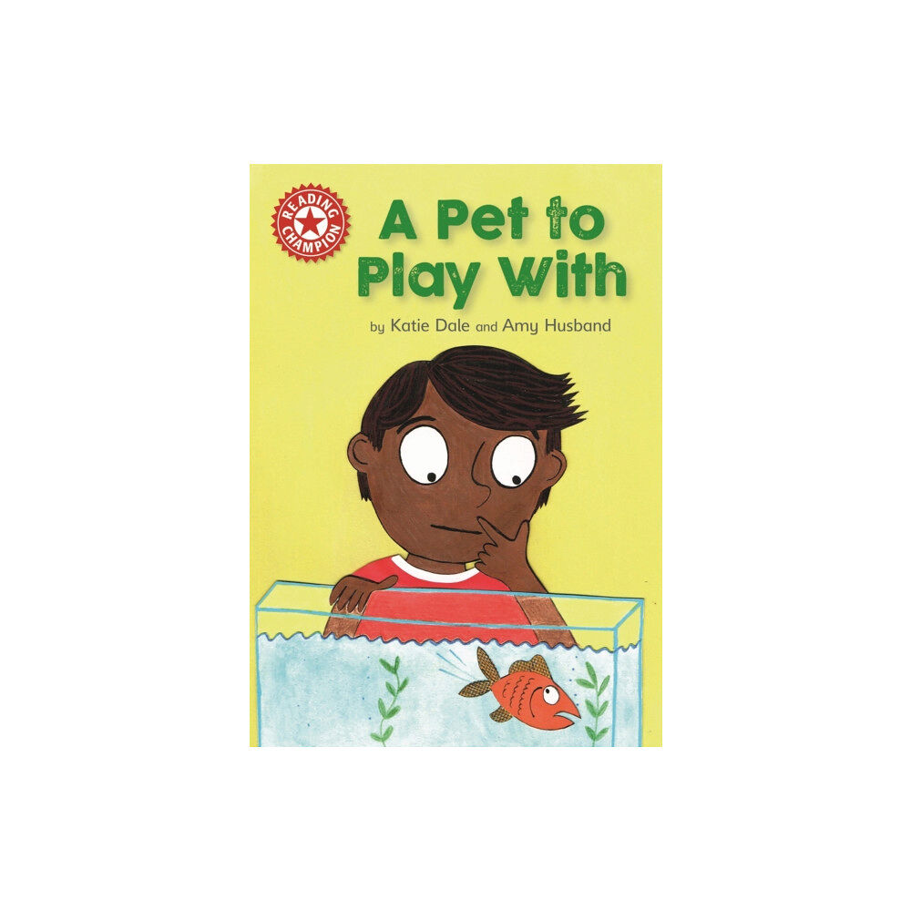 Hachette Children's Group Reading Champion: A Pet to Play With (häftad, eng)