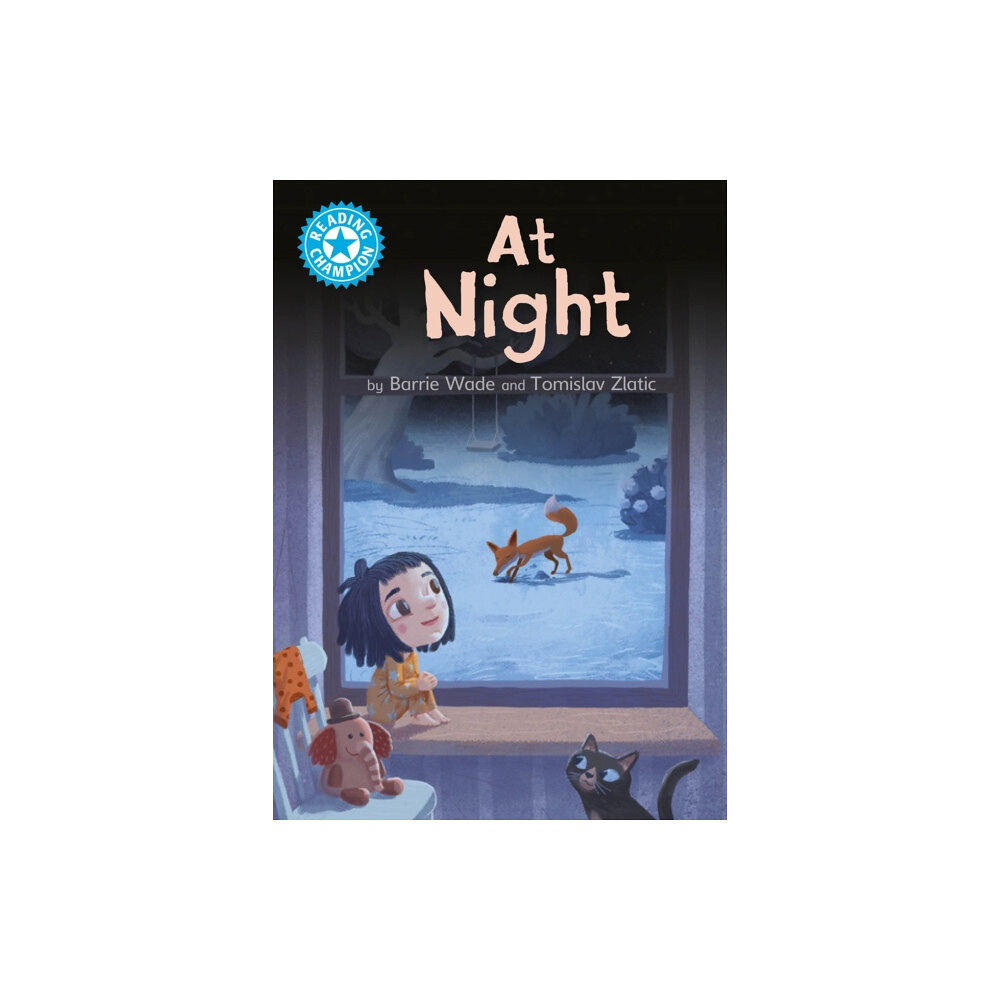 Hachette Children's Group Reading Champion: At Night (häftad, eng)