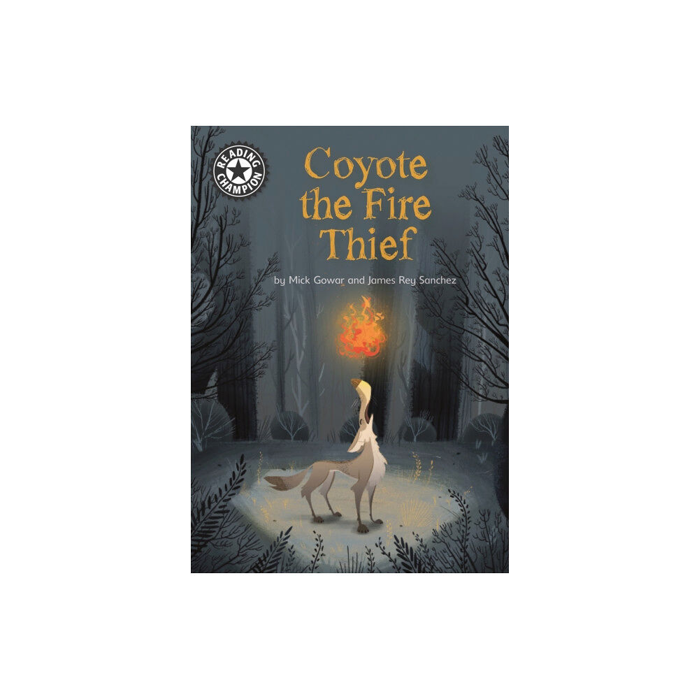 Hachette Children's Group Reading Champion: Coyote the Fire Thief (inbunden, eng)