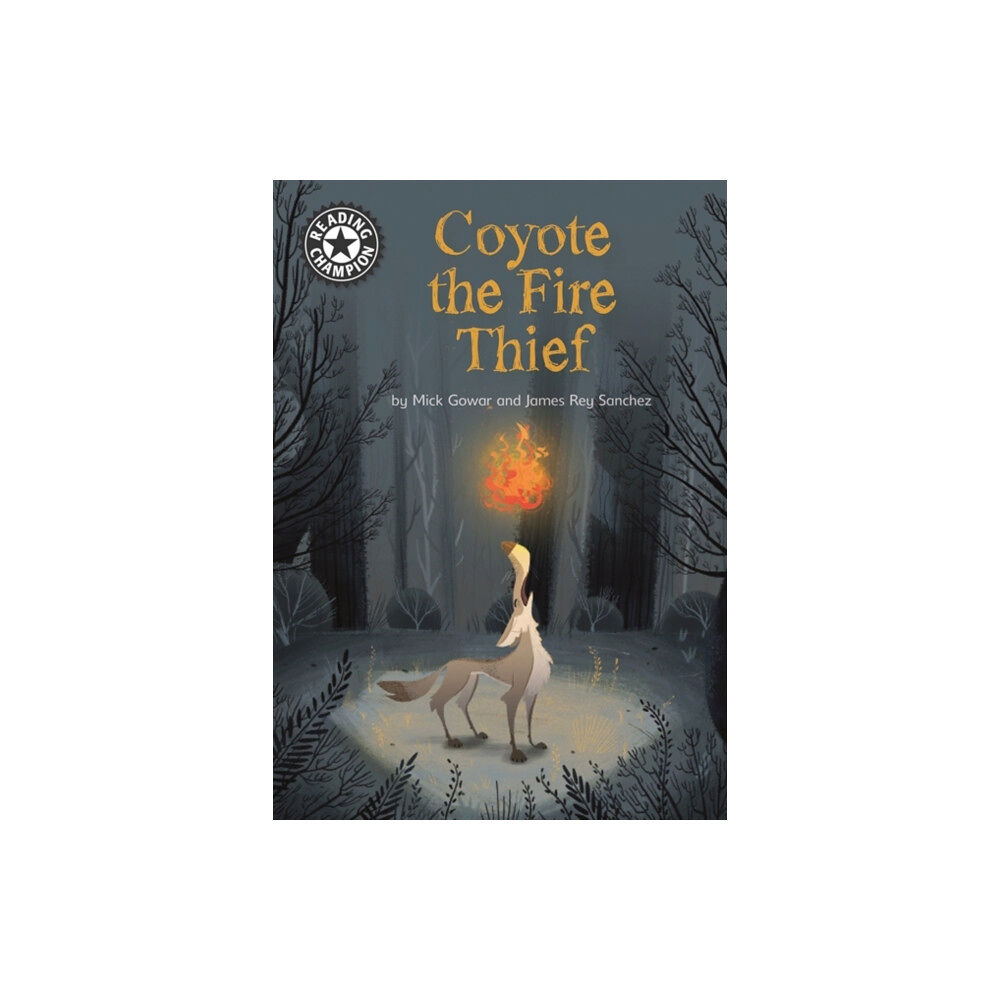 Hachette Children's Group Reading Champion: Coyote the Fire Thief (häftad, eng)