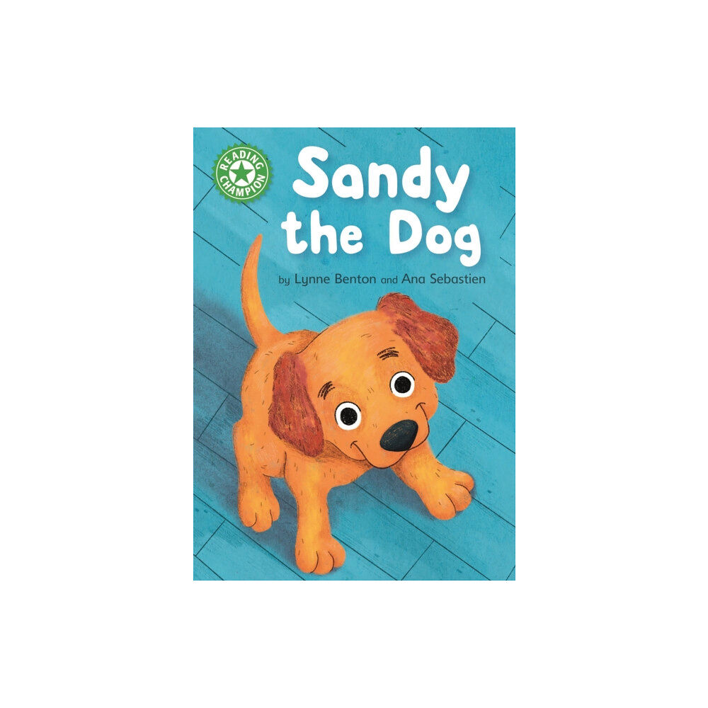 Hachette Children's Group Reading Champion: Sandy the Dog (inbunden, eng)