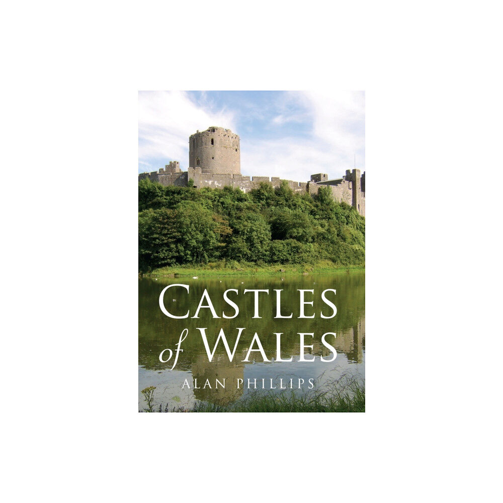 Amberley Publishing Castles of Wales (häftad, eng)