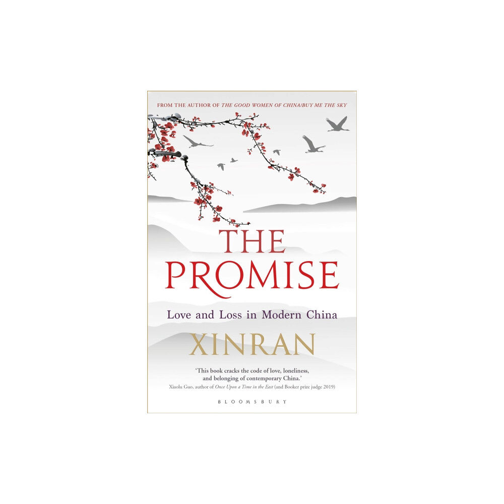Bloomsbury Publishing PLC The Promise (häftad, eng)