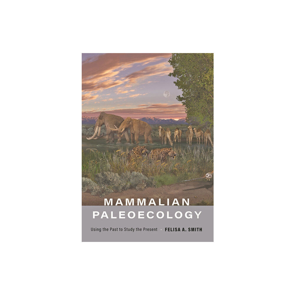 Johns Hopkins University Press Mammalian Paleoecology (inbunden, eng)