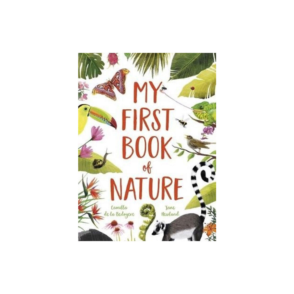 Templar Publishing My First Book of Nature (häftad, eng)