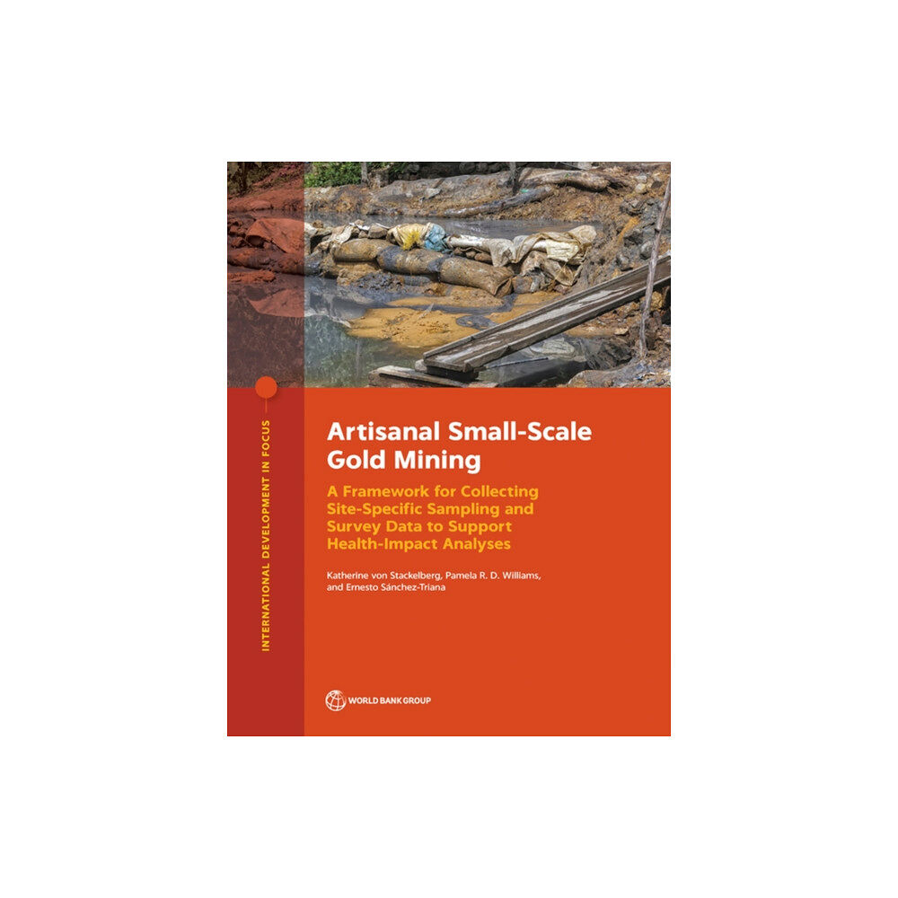 World Bank Publications Artisanal Small-Scale Gold Mining (häftad, eng)