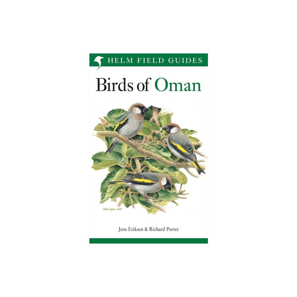 Bloomsbury Publishing PLC Field Guide to the Birds of Oman (häftad, eng)