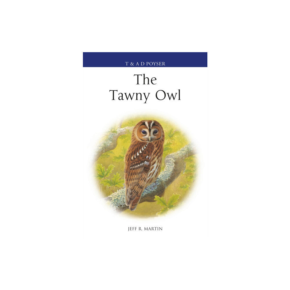 Bloomsbury Publishing PLC The Tawny Owl (inbunden, eng)