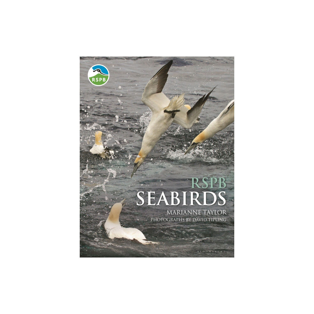 Bloomsbury Publishing PLC RSPB Seabirds (inbunden, eng)