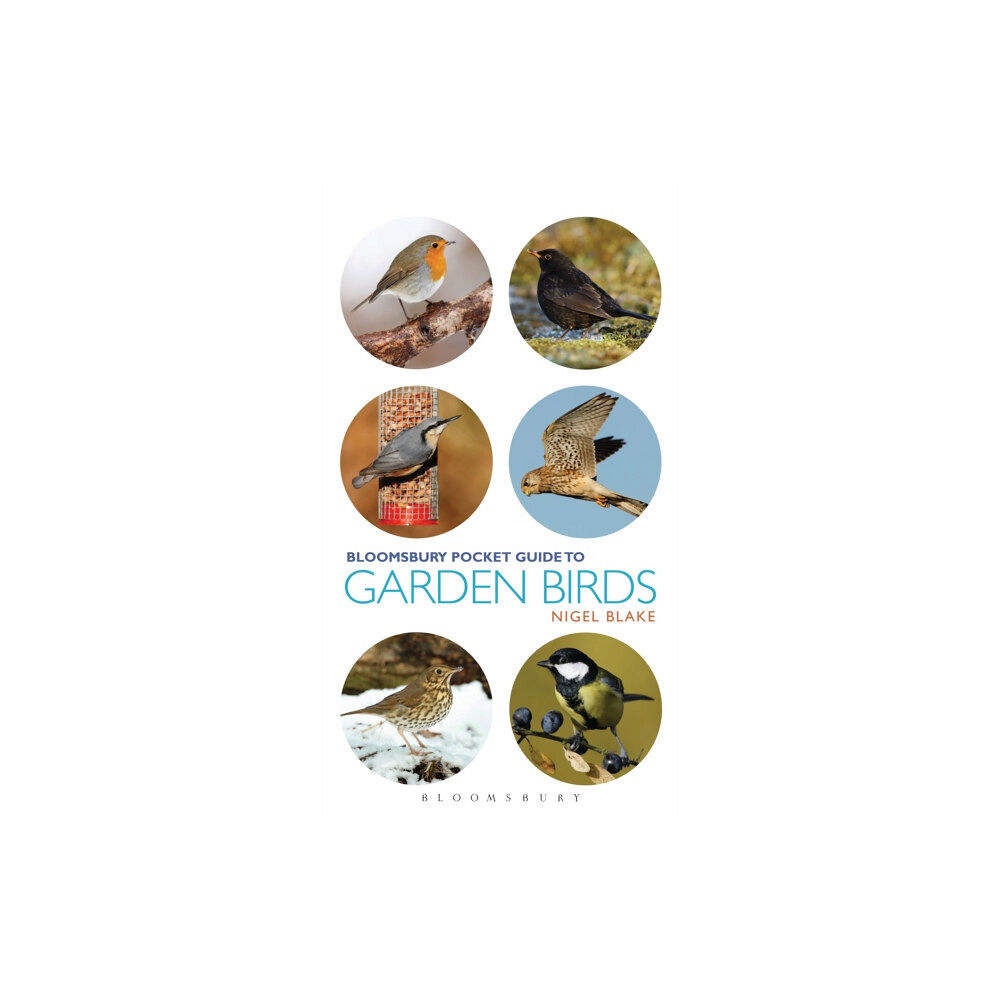 Bloomsbury Publishing PLC Pocket Guide To Garden Birds (häftad, eng)