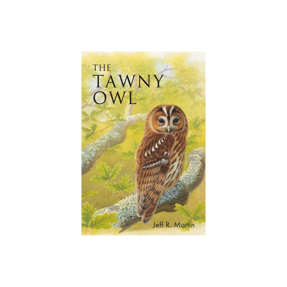 Bloomsbury Publishing PLC The Tawny Owl (häftad, eng)