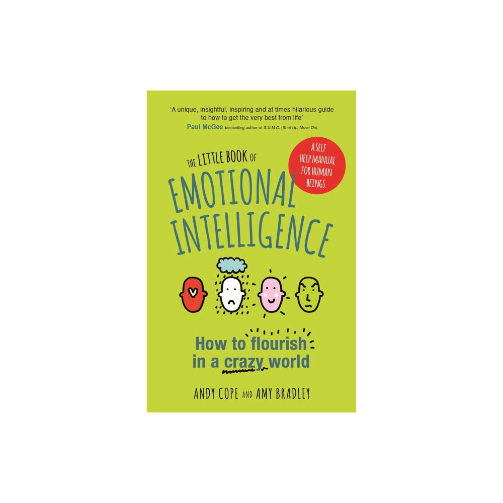 John Murray Press The Little Book of Emotional Intelligence (häftad, eng)