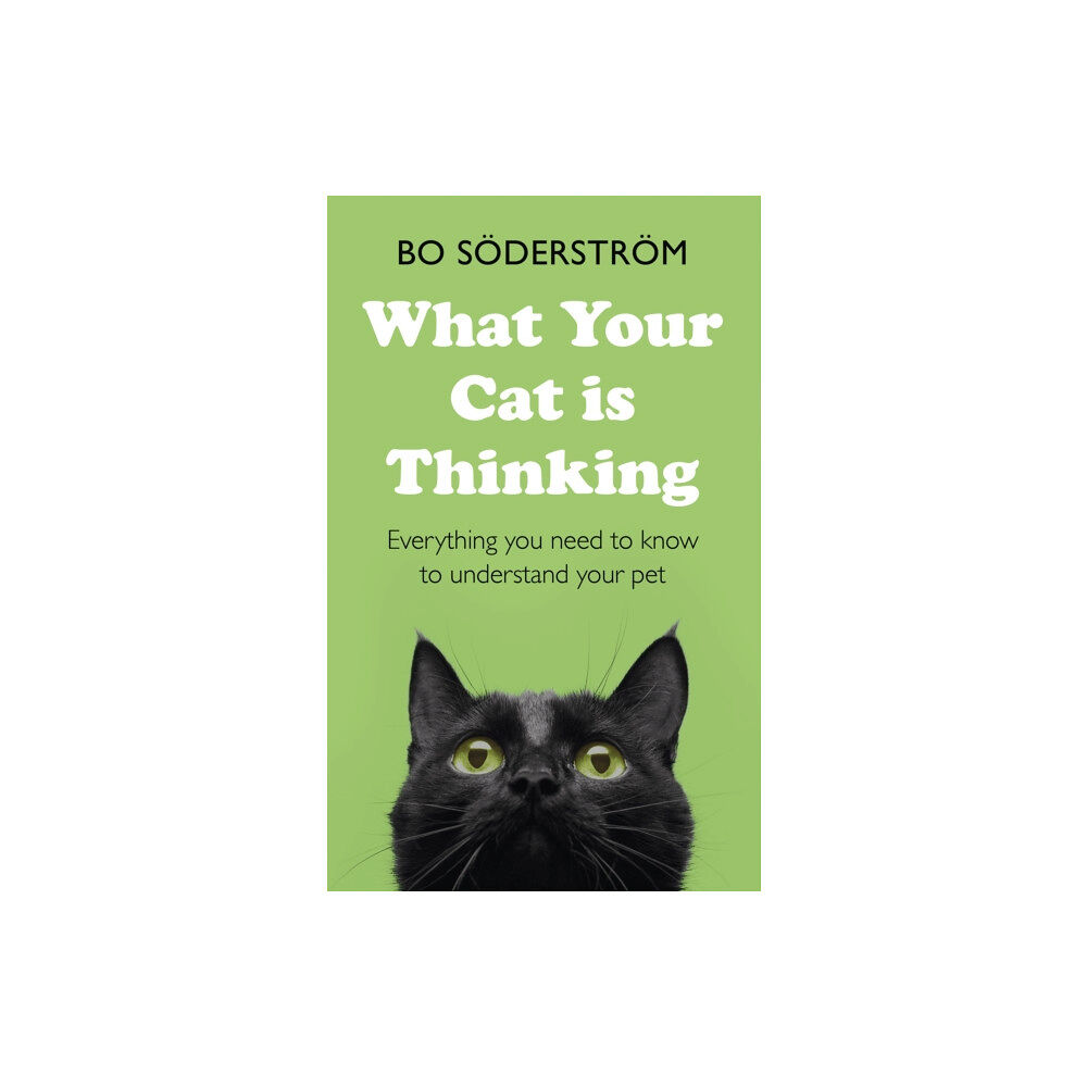 John Murray Press What Your Cat Is Thinking (häftad, eng)