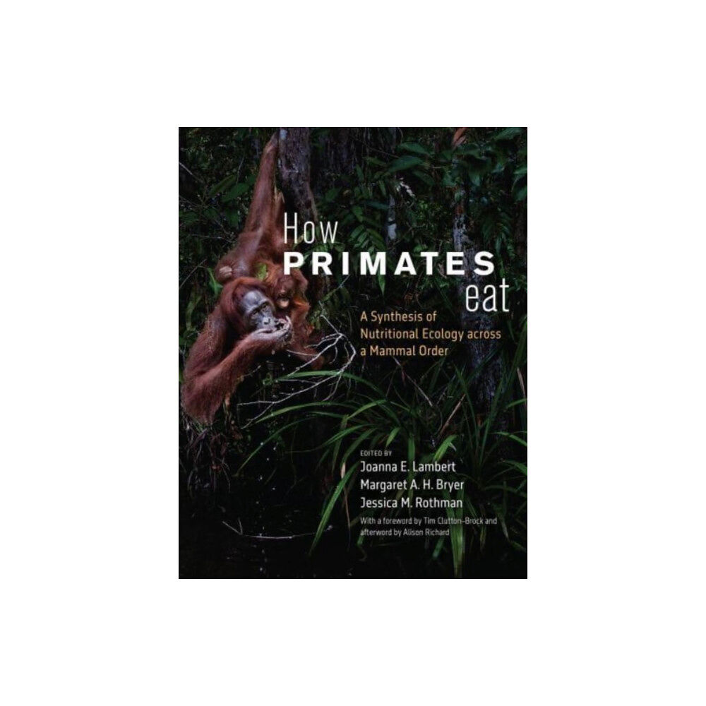 The university of chicago press How Primates Eat (häftad, eng)