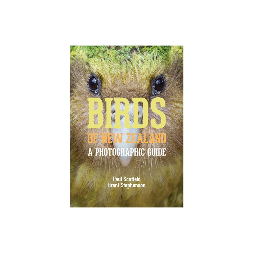 Yale university press Birds of New Zealand (häftad, eng)