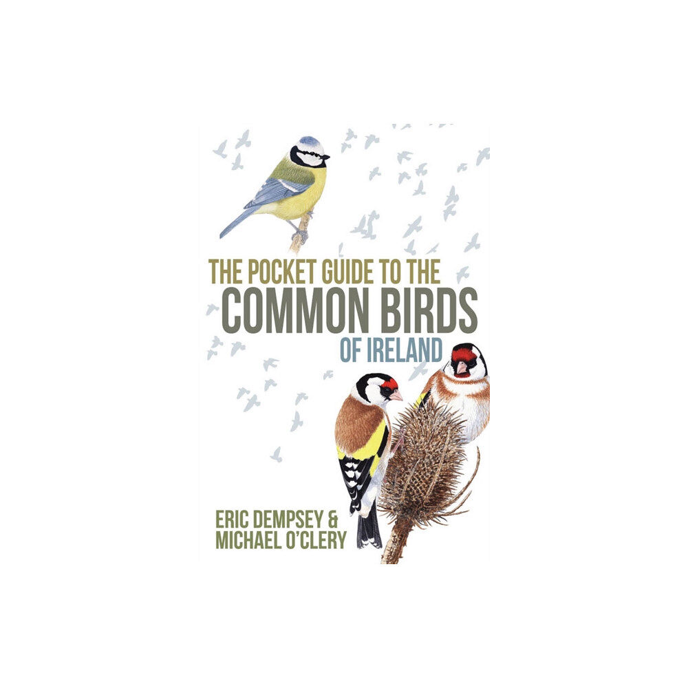 Gill The Pocket Guide to the Common Birds of Ireland (häftad, eng)