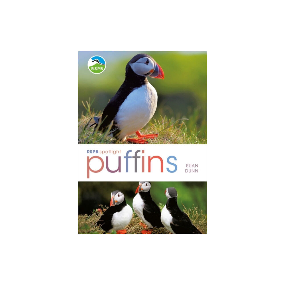 Bloomsbury Publishing PLC RSPB Spotlight: Puffins (häftad, eng)