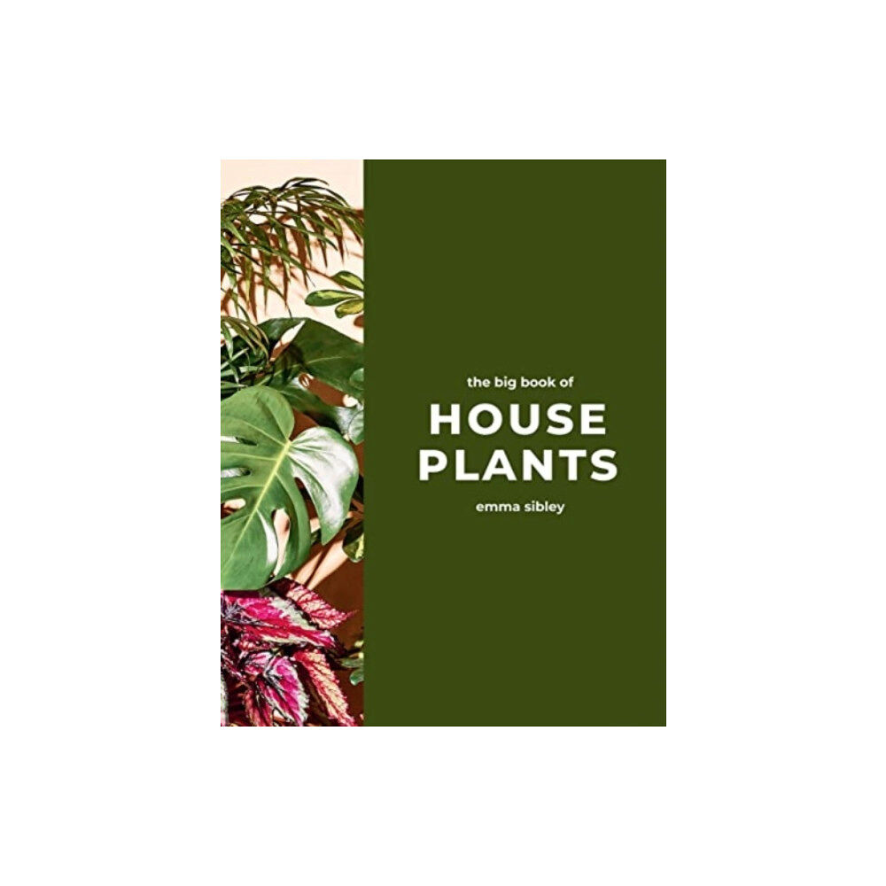 Quadrille Publishing Ltd The Big Book of House Plants (inbunden, eng)