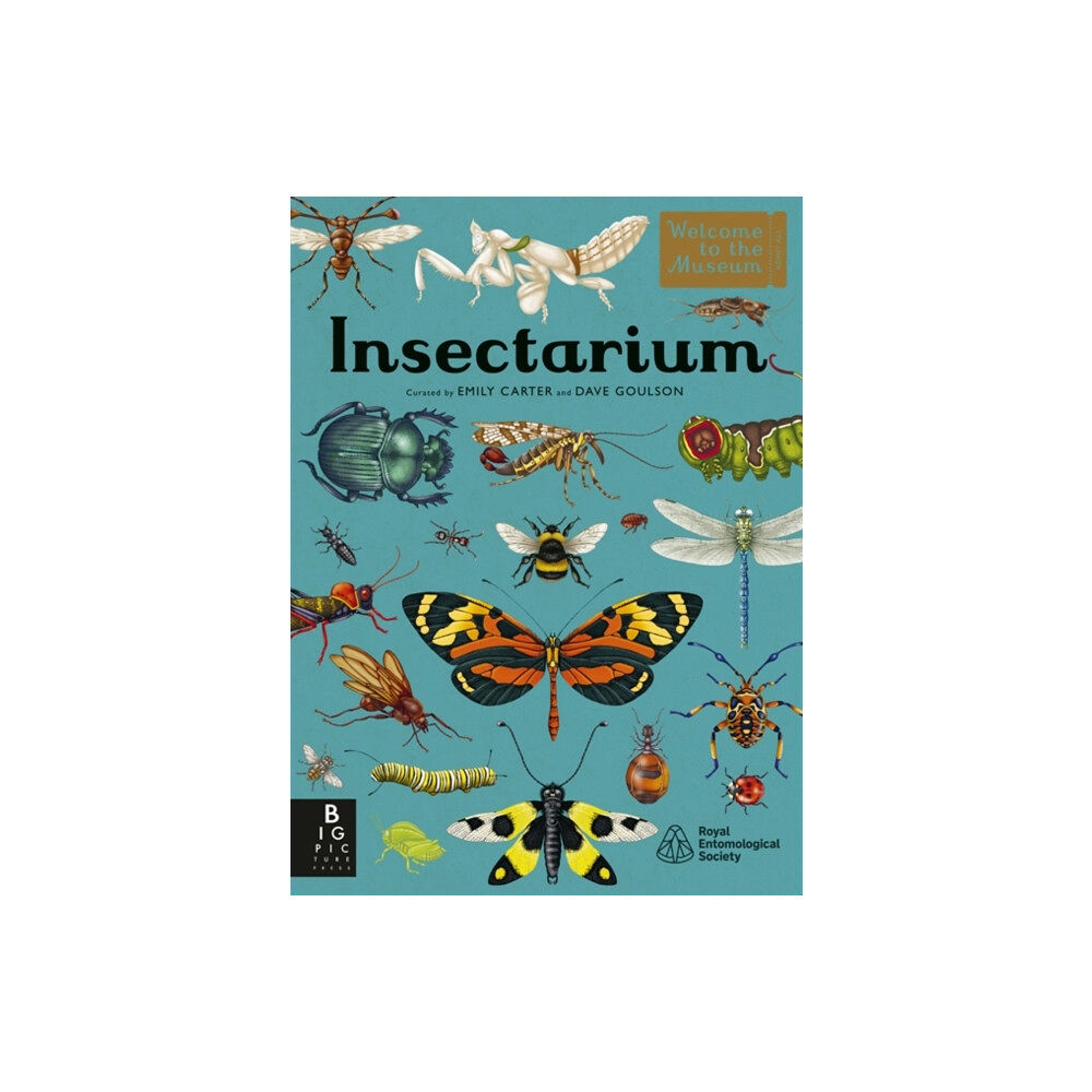 Bonnier Books Ltd Insectarium (inbunden, eng)