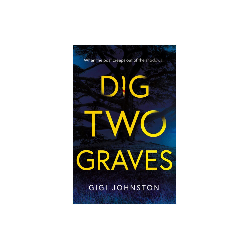 Troubador Publishing Dig Two Graves (häftad, eng)