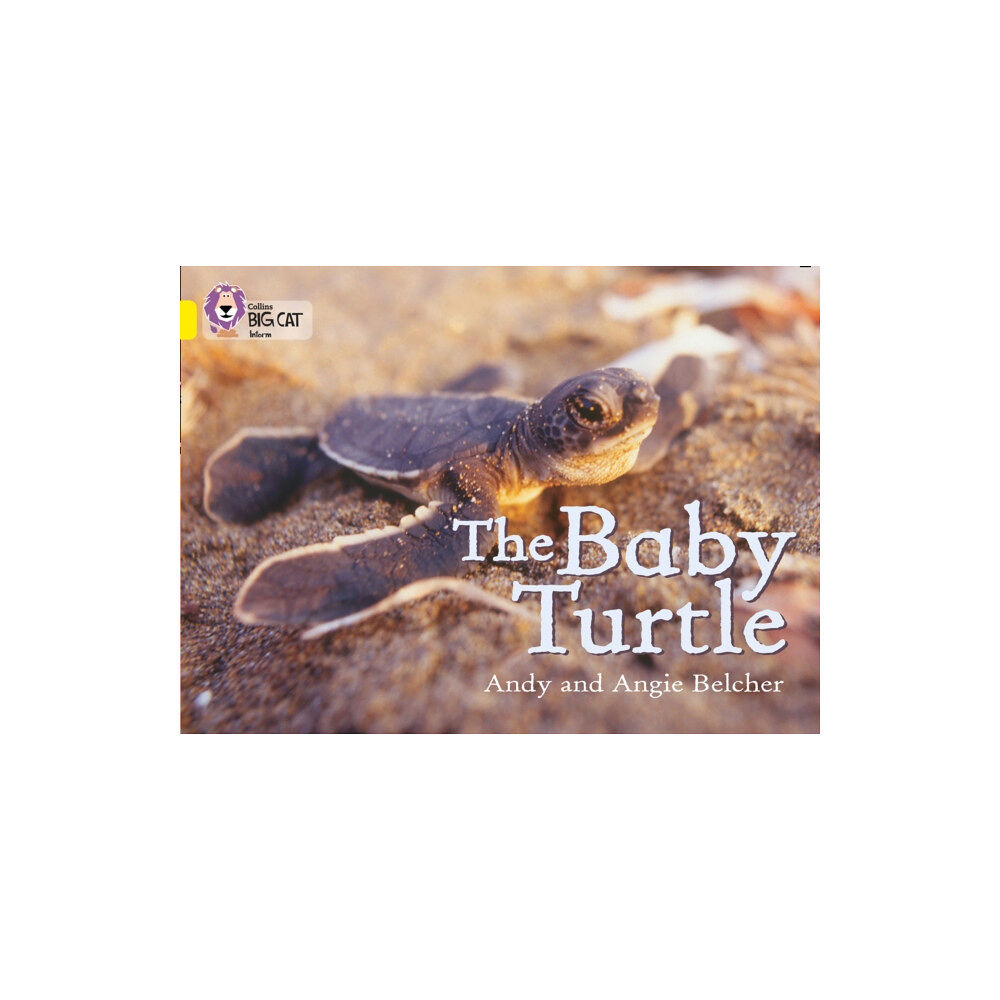 HarperCollins Publishers The Baby Turtle (häftad, eng)