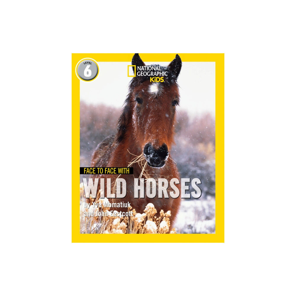 HarperCollins Publishers Face to Face with Wild Horses (häftad, eng)