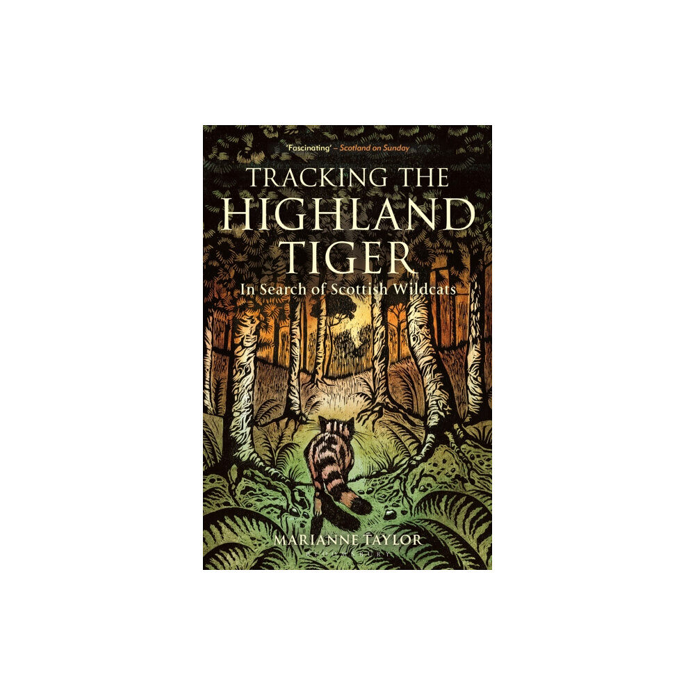 Bloomsbury Publishing PLC Tracking The Highland Tiger (häftad, eng)