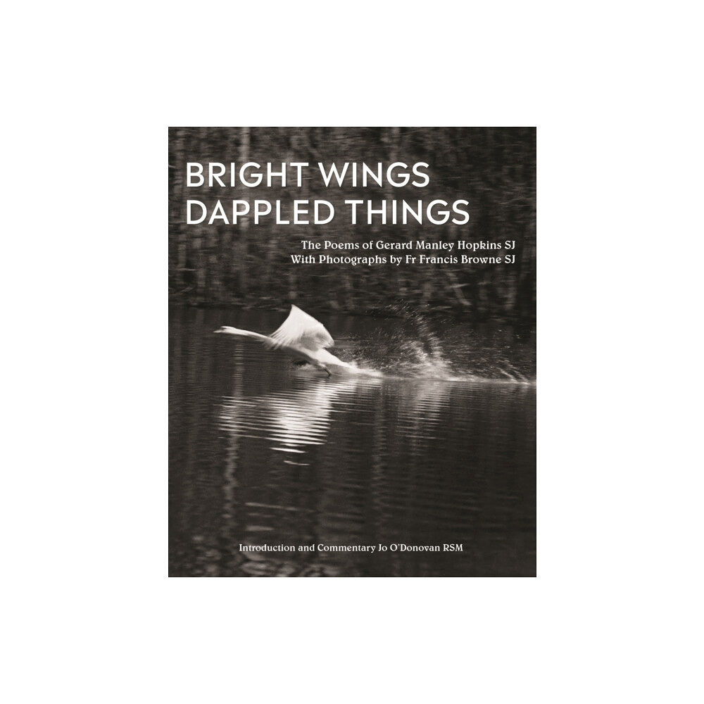 Messenger Publications Bright Wings, Dappled Things (inbunden, eng)