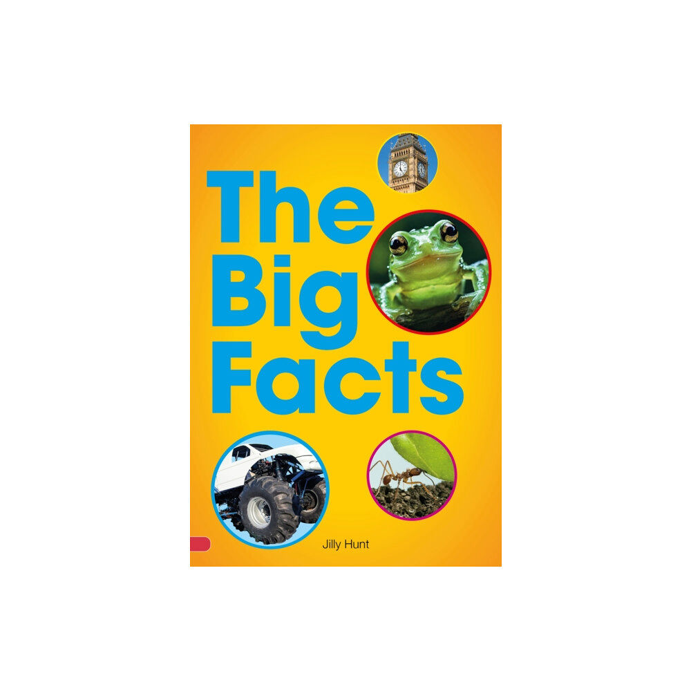 Scholastic Big Facts Book (Set 07) (häftad, eng)