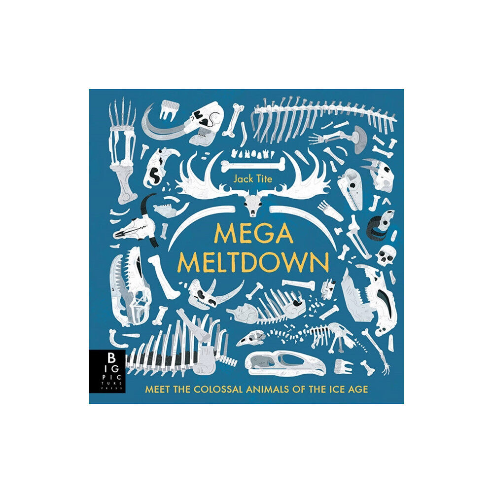 Templar Publishing Mega Meltdown (inbunden, eng)