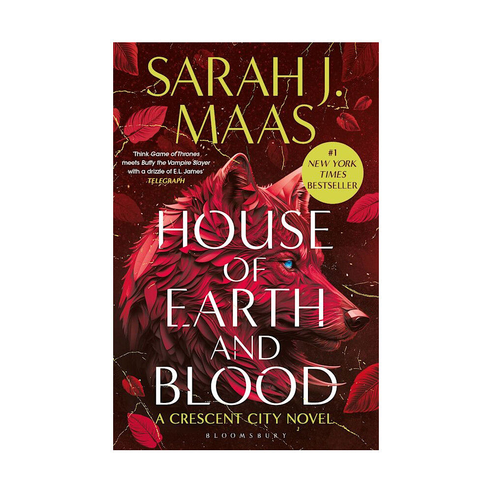 Sarah J. Maas House of Earth and Blood (pocket, eng)