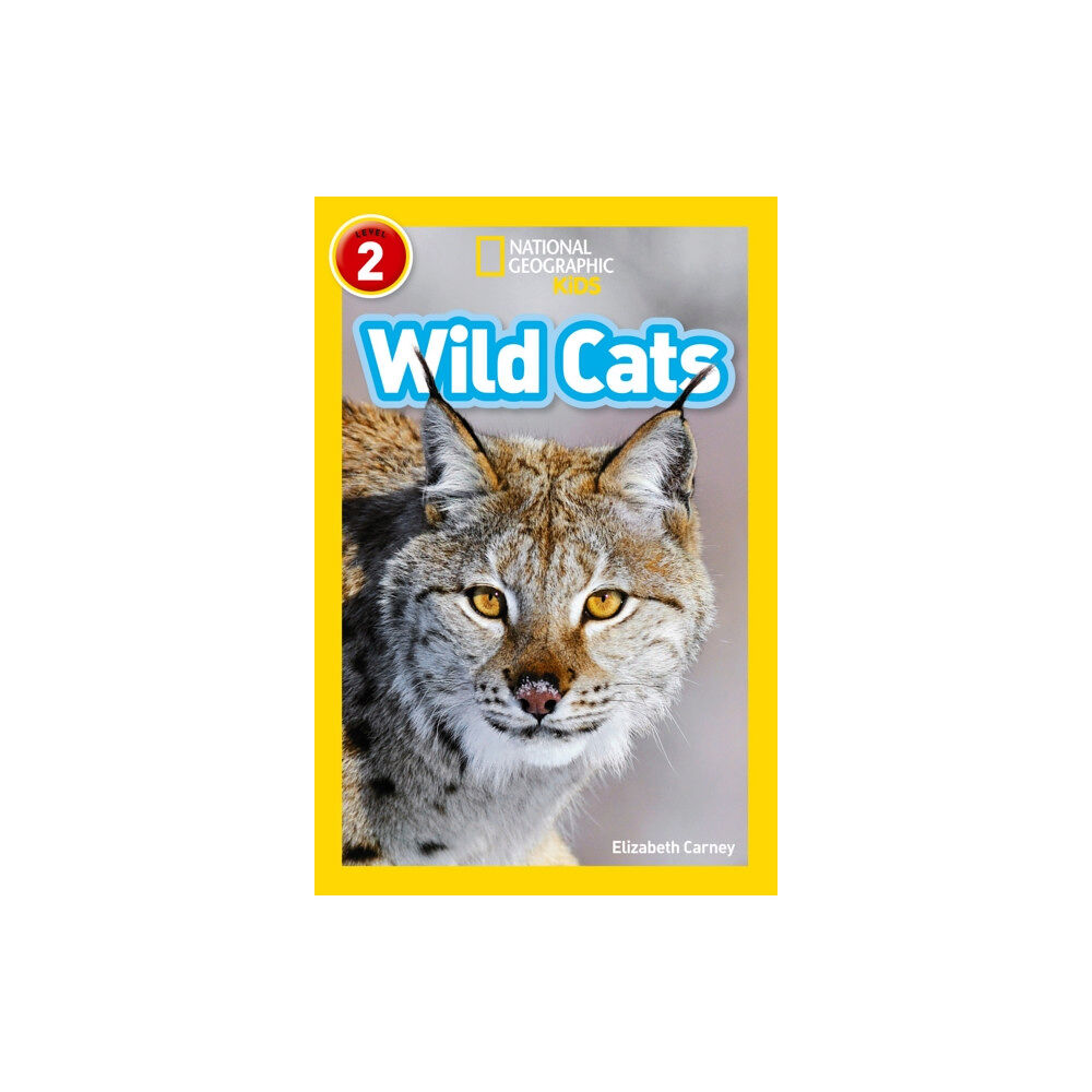 HarperCollins Publishers Wild Cats (häftad, eng)