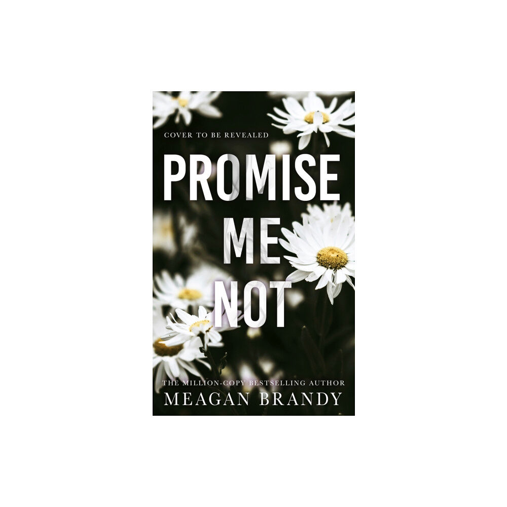 Orion Publishing Co Promise Me Not (häftad, eng)