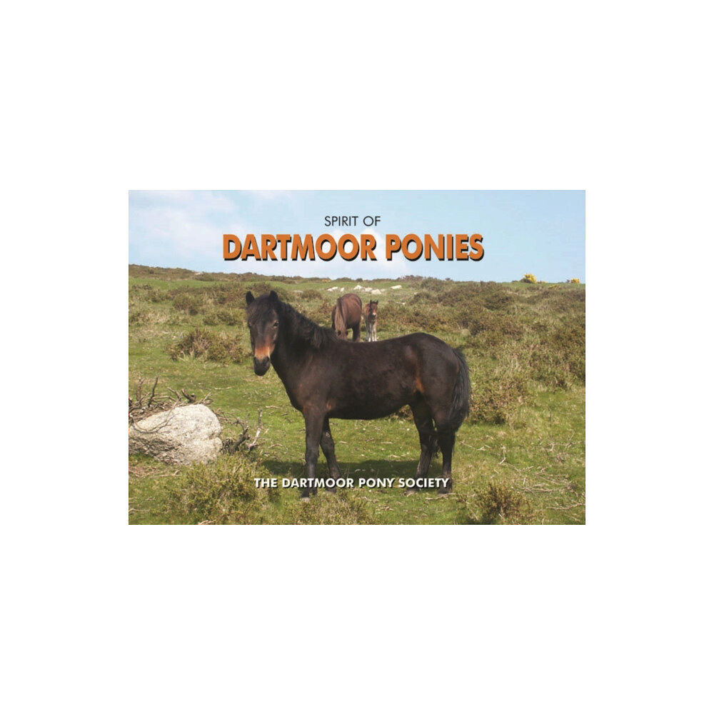 PiXZ Books Spirit of Dartmoor Ponies (inbunden, eng)