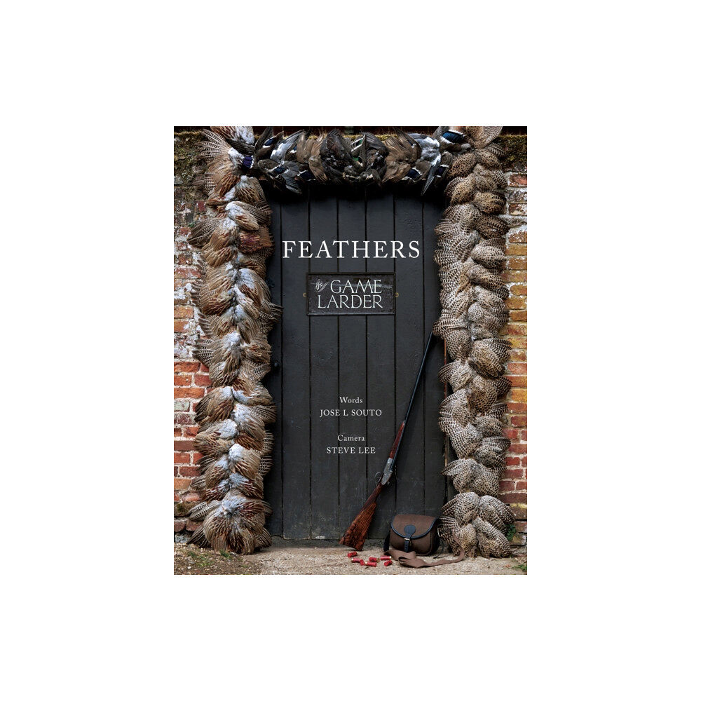 Merlin Unwin Books Feathers (inbunden, eng)