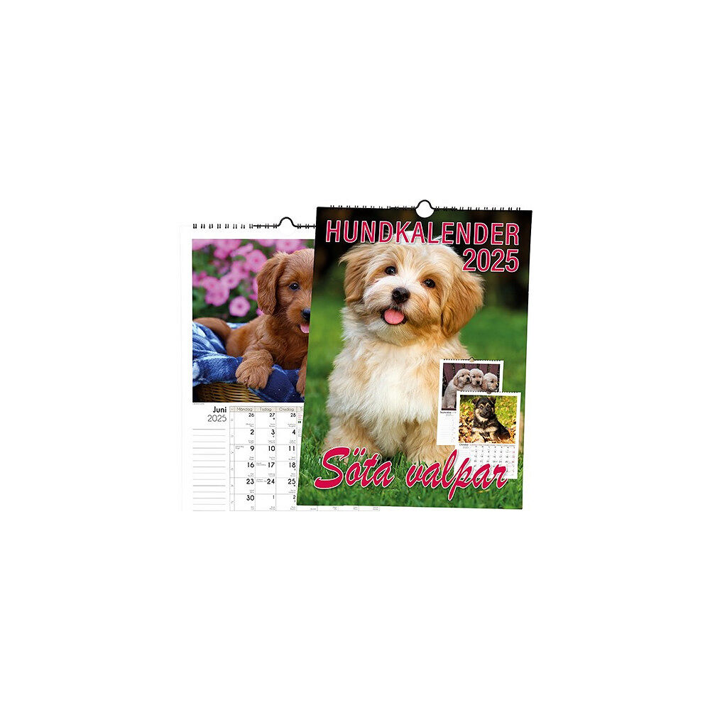 Livsenergi Hundkalender 2025 (bok, spiral)