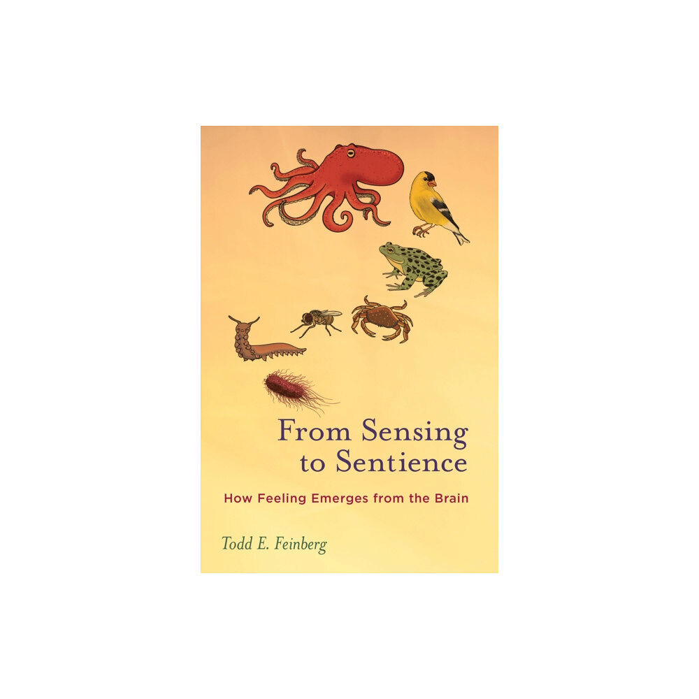 Mit press ltd From Sensing to Sentience (häftad, eng)