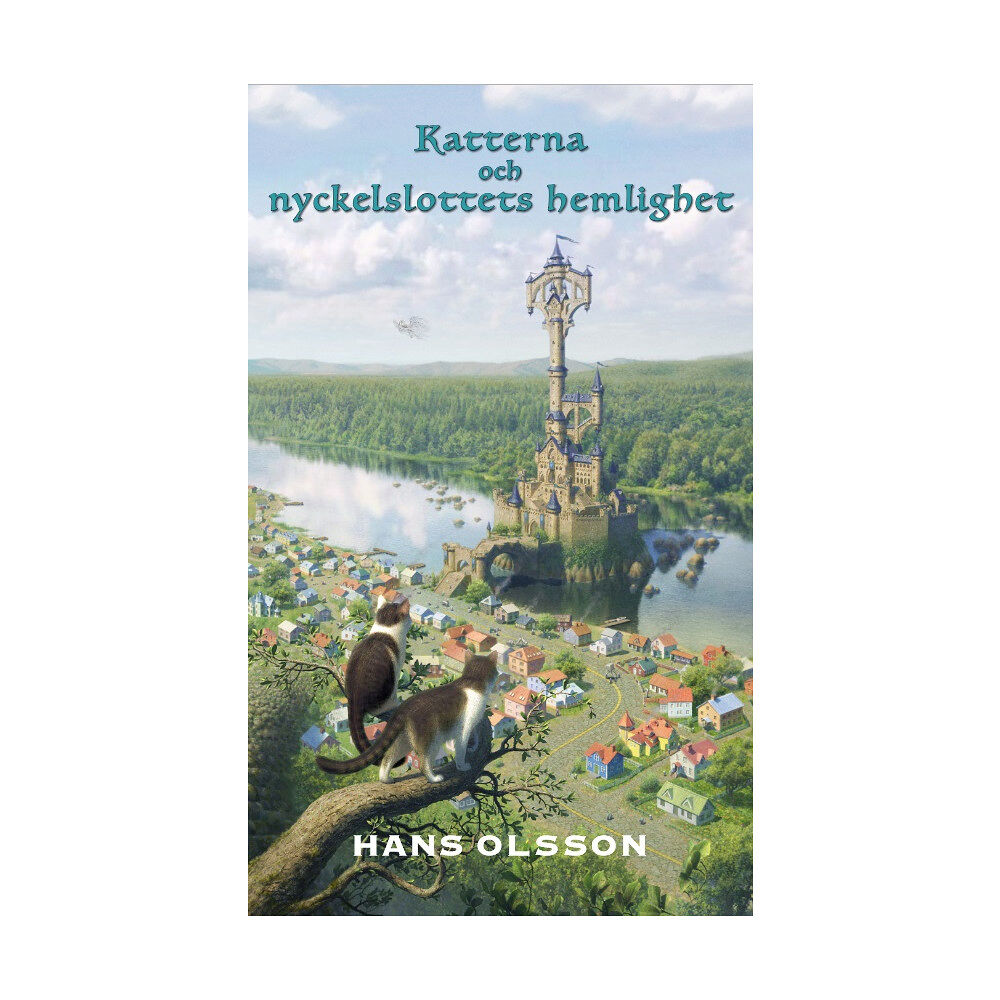 Hans Olsson Katterna och nyckelslottets hemlighet (bok, kartonnage)