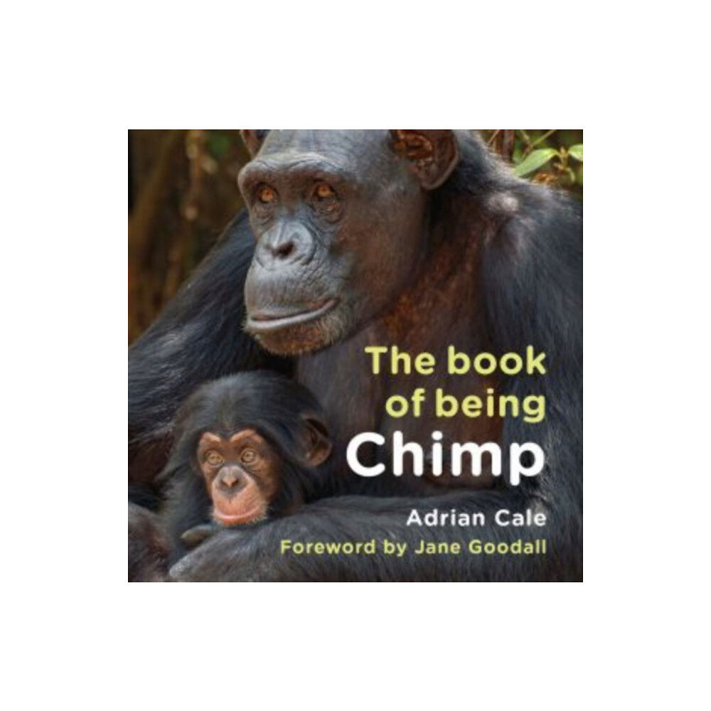 Graffeg Limited The Book of Being Chimp (inbunden, eng)