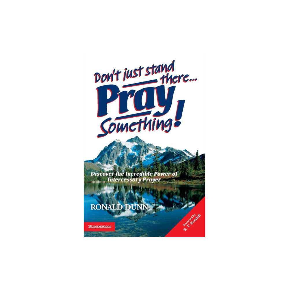 HarperCollins Publishers Don't Just Stand There, Pray Something (häftad, eng)