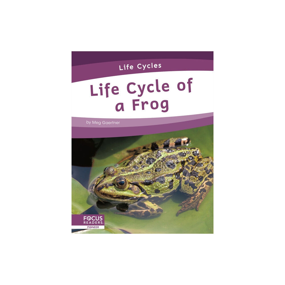 North Star Editions Life Cycles: Life Cycle of a Frog (inbunden, eng)