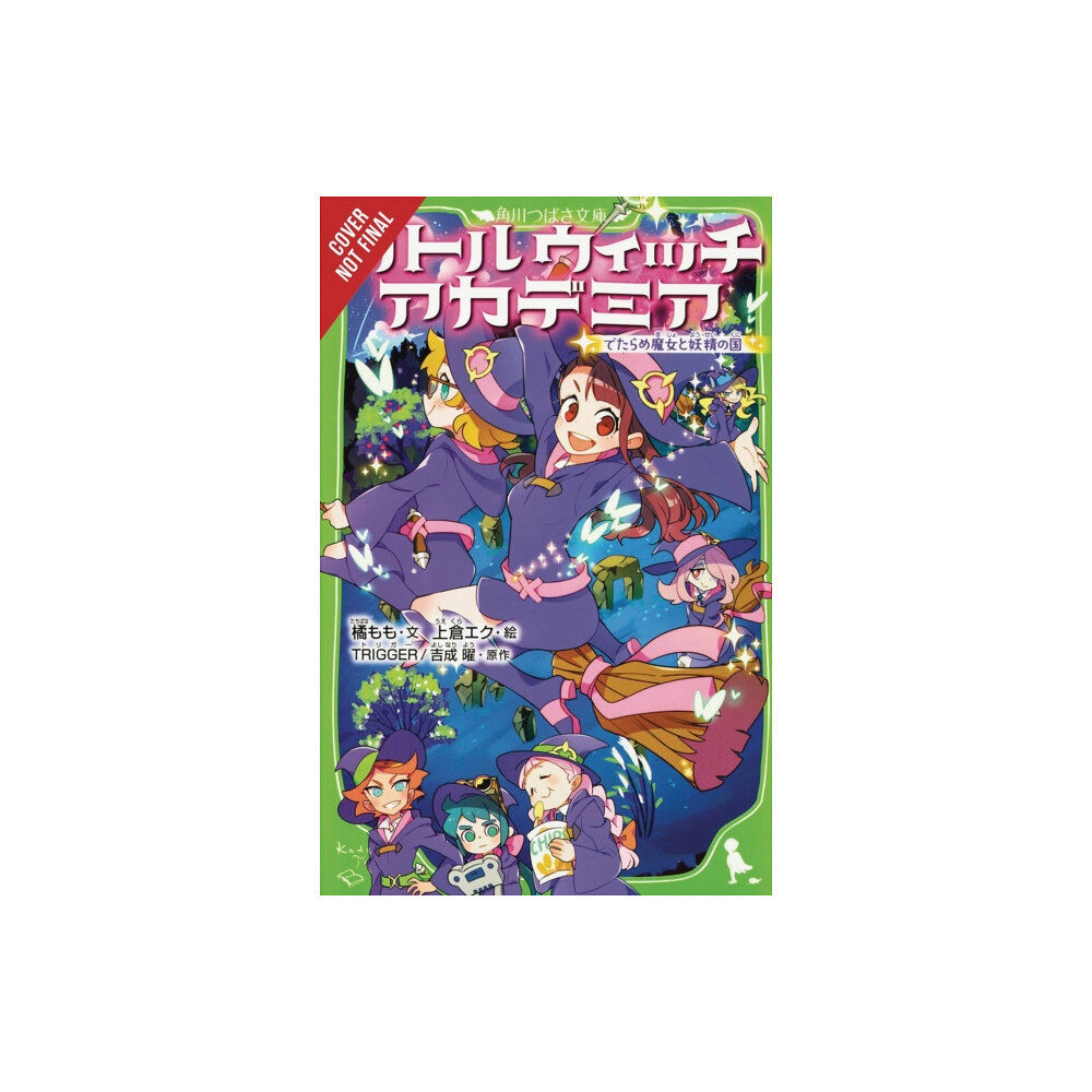 Little, Brown & Company Little Witch Academia (light novel) (häftad, eng)