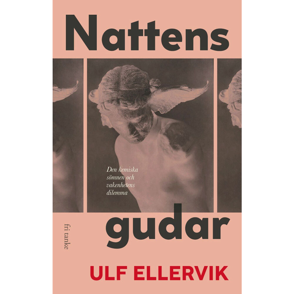 Ulf Ellervik Nattens gudar : den kemiska sömnen och vakenhetens dilemma (inbunden)