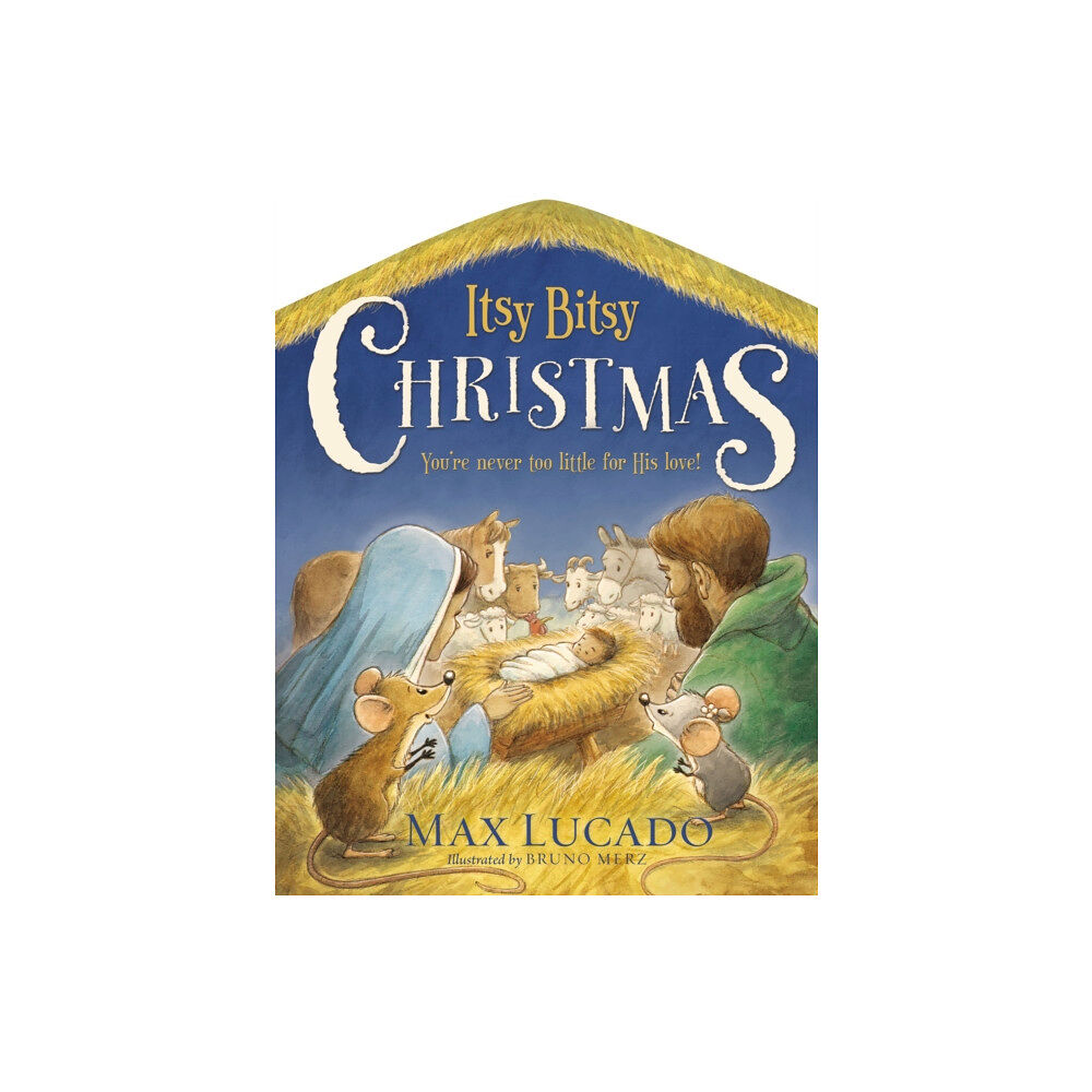 Tommy Nelson Itsy Bitsy Christmas (bok, board book, eng)