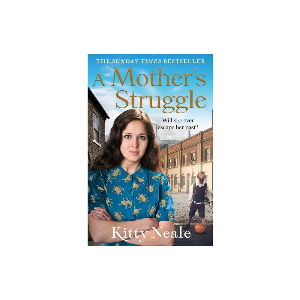 HarperCollins Publishers A Mother’s Struggle (häftad, eng)