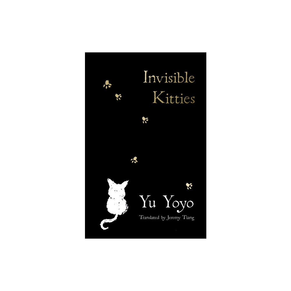 HarperCollins Publishers Invisible Kitties (häftad, eng)