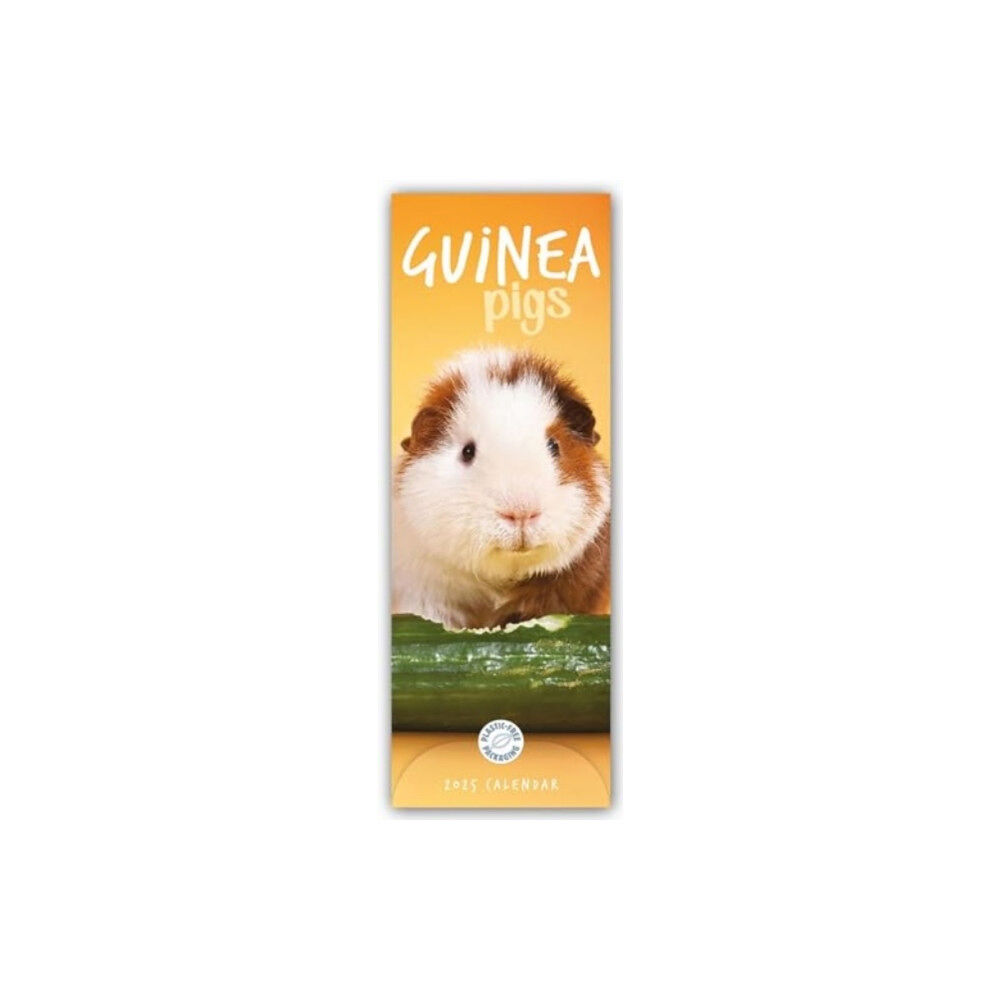 Carousel Calendars Guinea Pigs Slim Calendar 2025 (häftad, eng)