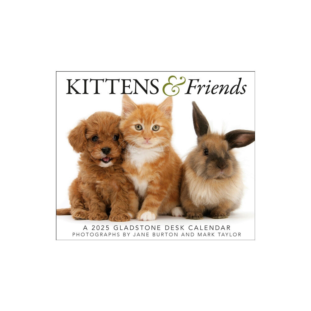 Gladstone Media Kittens & Friends Box Calendar 2025